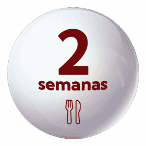 Comedor Esc. Verano 2 semanas
