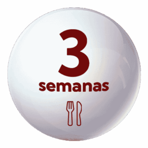 Comedor Esc. Verano 3 semanas