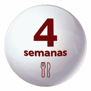 Comedor Esc. Verano 4 semanas