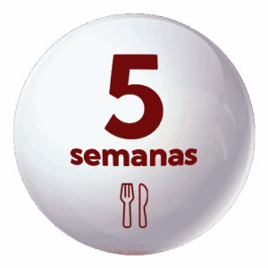 Comedor Esc. Verano 5 semanas