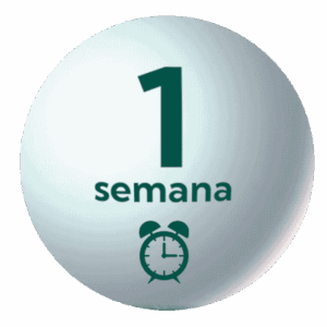 Matinera 1 semana