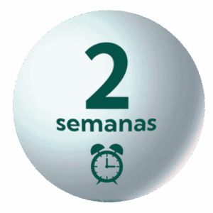 Matinera 2 semanas
