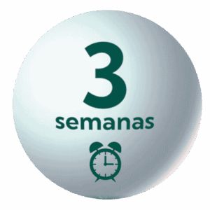 Matinera 3 semanas