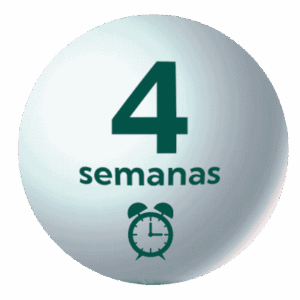 Matinera 4 semanas