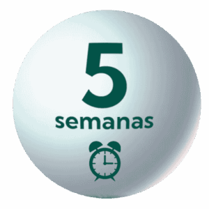Matinera 5 semanas