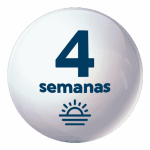 Vespertina 4 semanas