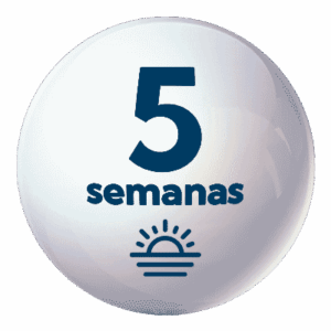 Vespertina 5 semanas
